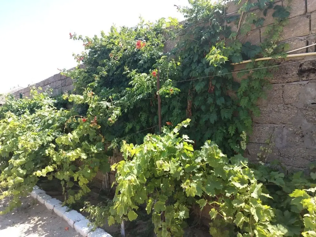 4 otaqlı Həyət evi Satılır, Zirə, Xəzər, Bakı — Ev, villa, Bakı (6)