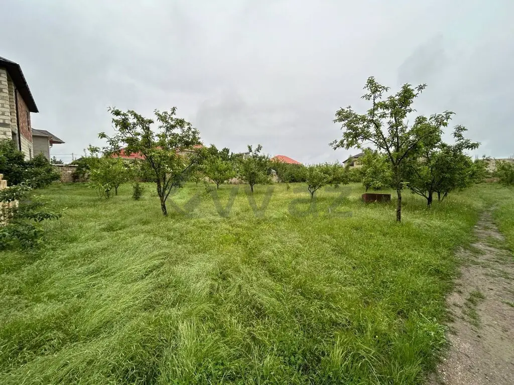 5 sot Torpaq Satılır, Qusar — Torpaq, Qusar (2)