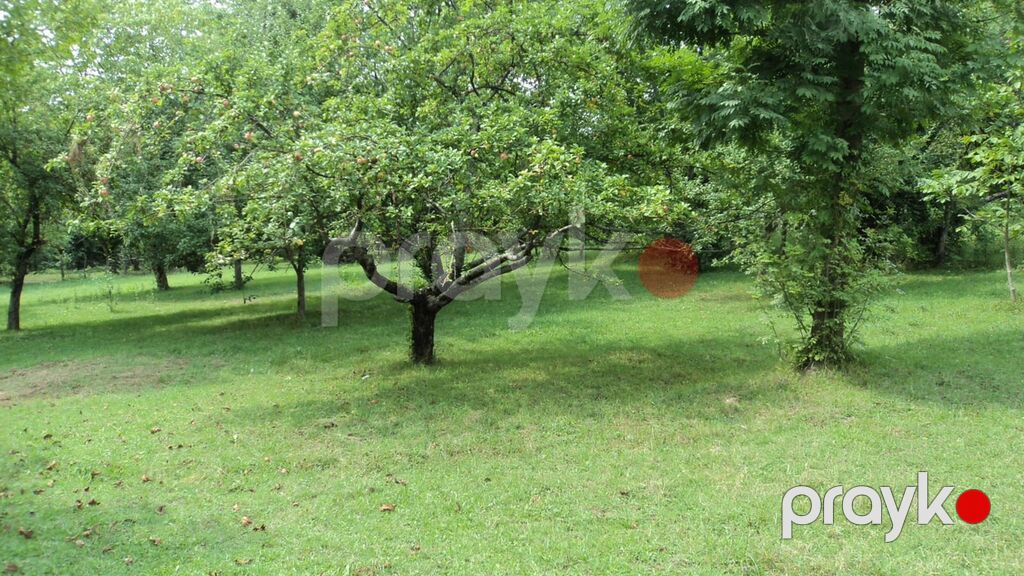 17 sot, Tikinti, Mülkiyyətçi, Kupça (Çıxarış) — Torpaq, Qəbələ (10)