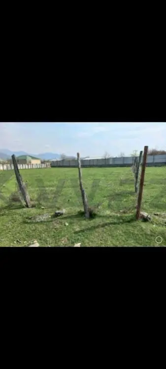 10 sot Torpaq Satılır, Balakən — Torpaq, Balakən (9)