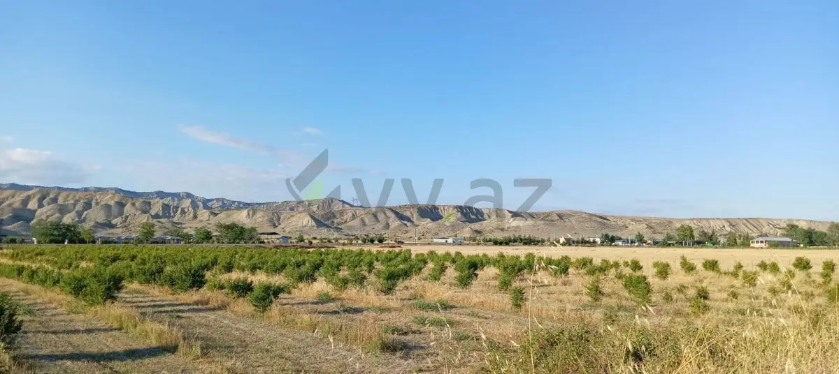200 sot Torpaq Satılır, Göyçay — Torpaq, Göyçay (10)