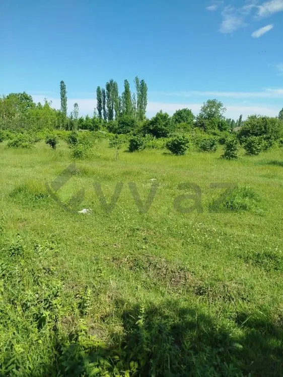 12 sot Torpaq Satılır, Şabran — Torpaq, Şabran (3)