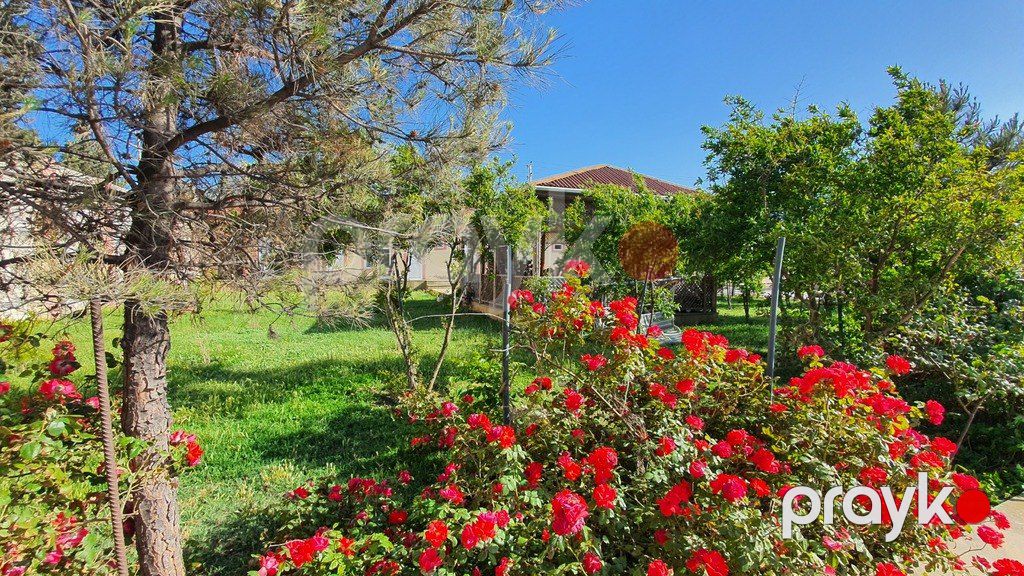 Satılır torpaq 38 sot — Torpaq, Bakı (6)