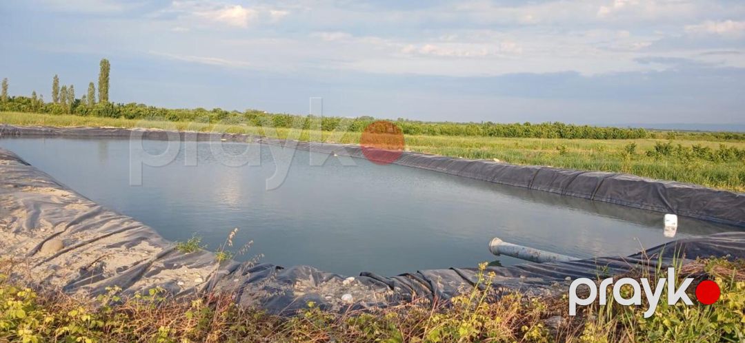 Satılır torpaq 373 sot — Torpaq, Quba (6)