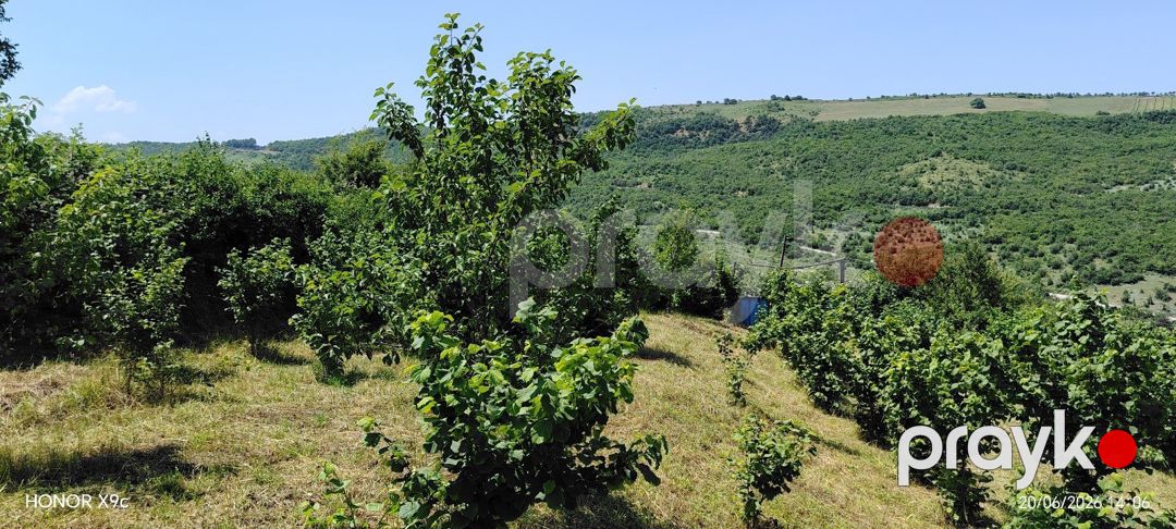 10 sot torpaq sahəsi, Quba r — Torpaq, Quba (9)