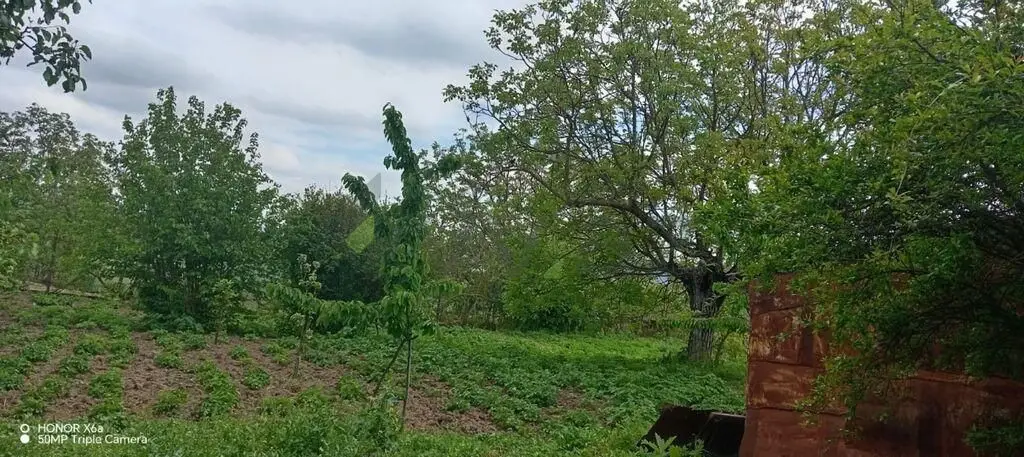 4 otaqlı Həyət evi Satılır, Şamaxı — Ev, villa, Şamaxı (5)