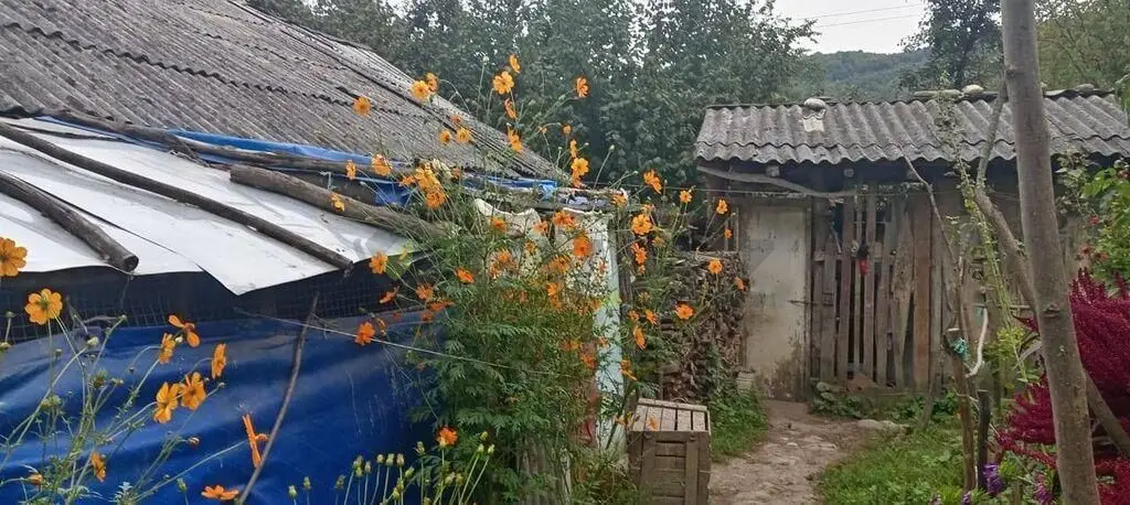 3 otaqlı Həyət evi Satılır, Quba — Ev, villa, Quba (11)