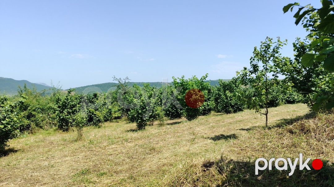 10 sot torpaq sahəsi, Quba r — Torpaq, Quba (6)