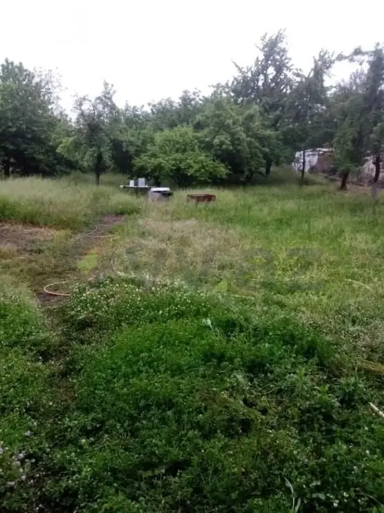 2 otaqlı Həyət evi Satılır, Lənkəran — Lənkəran