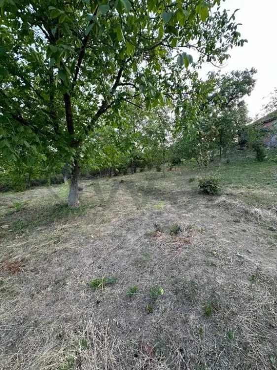 22 sot Torpaq Satılır, Şabran — Torpaq, Şabran (9)