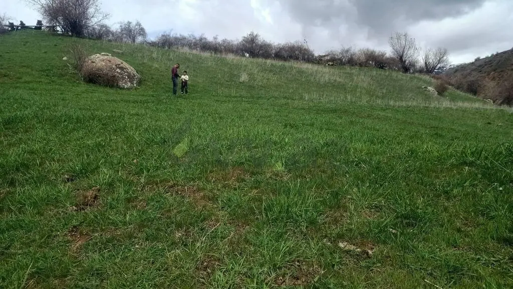 29 sot Torpaq Satılır, Naxçıvan MR — Torpaq (6)