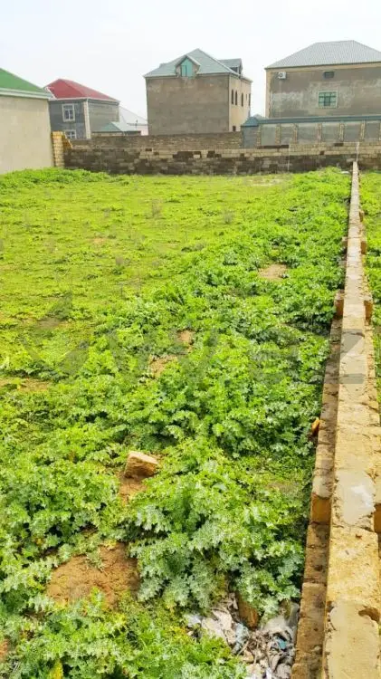 10 sot Torpaq Satılır, Zabrat qəs., Sabunçu, Bakı — Torpaq, Bakı (5)