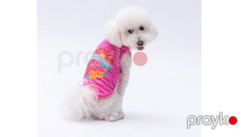 İtlər və pişiklər üçün mayka Pawstar Fuchsia The Sun, çəhrayı, ölçü XXL — Bakı