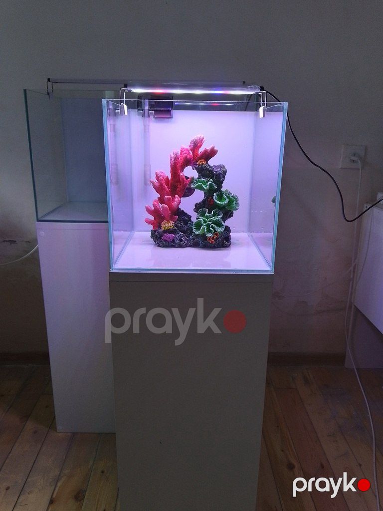 Akvarium və altlığı — Akvariumlar və balıqlar, Bakı (3)