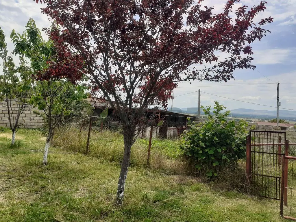 6 sot Torpaq Satılır, Oğuz — Torpaq, Oğuz (2)