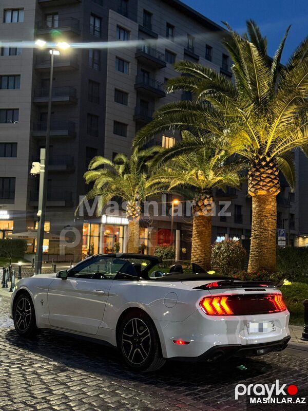 Ford Mustang, 2020 il — Minik avtomobili icarəsi, Bakı (2)