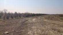 2 hektar Torpaq, Satış, Bakı, Qaradağ — Torpaq, Bakı (5)