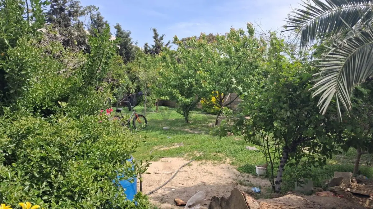 19 sot Torpaq Satılır, Corat köhnə Sumqayıt — Torpaq, Sumqayıt (4)