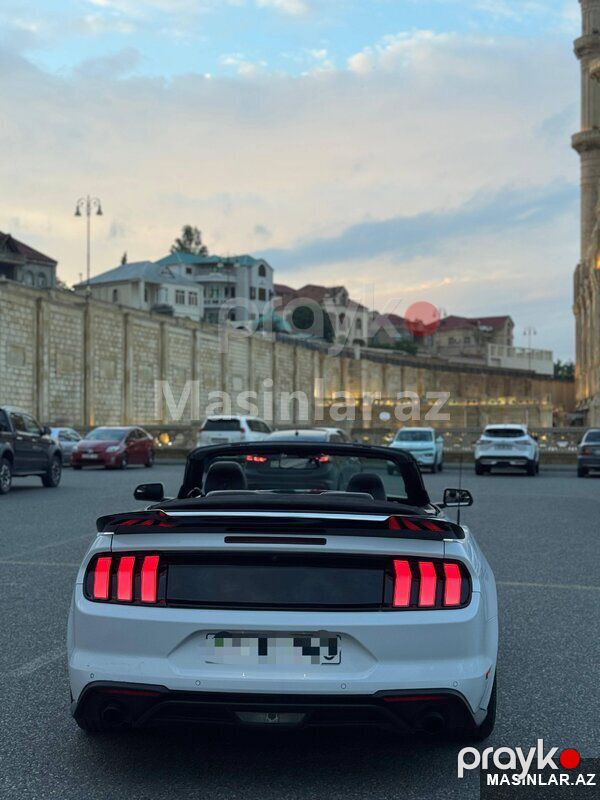 Ford Mustang, 2020 il — Minik avtomobili icarəsi, Bakı (4)