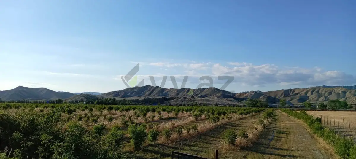 200 sot Torpaq Satılır, Göyçay — Torpaq, Göyçay (8)