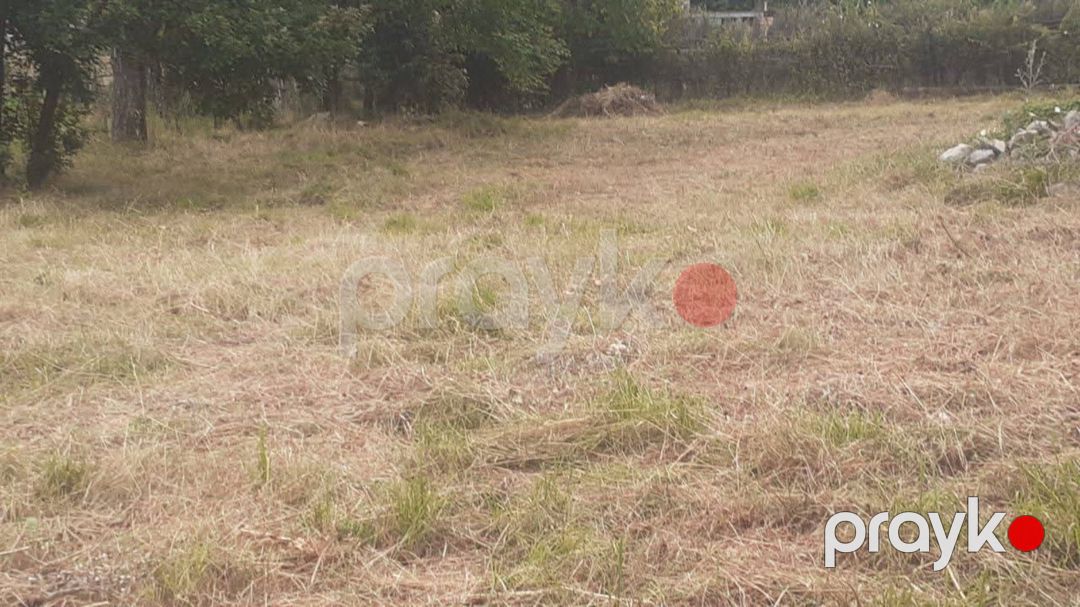 12 sot torpaq sahəsi, Oğuz r — Torpaq, Oğuz (3)