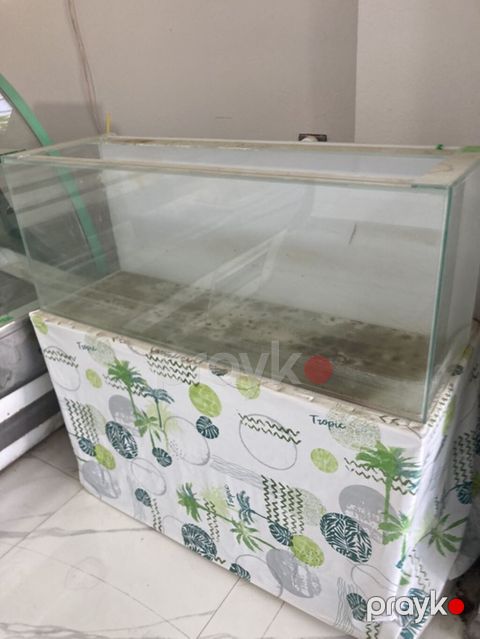 Şüşə akvarium və alt dolabı - Ölçü: təxminən iri həcmli düzbucaqlı
