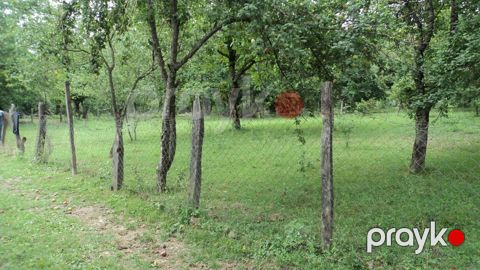 17 sot, Tikinti, Mülkiyyətçi, Kupça (Çıxarış) — Qəbələ