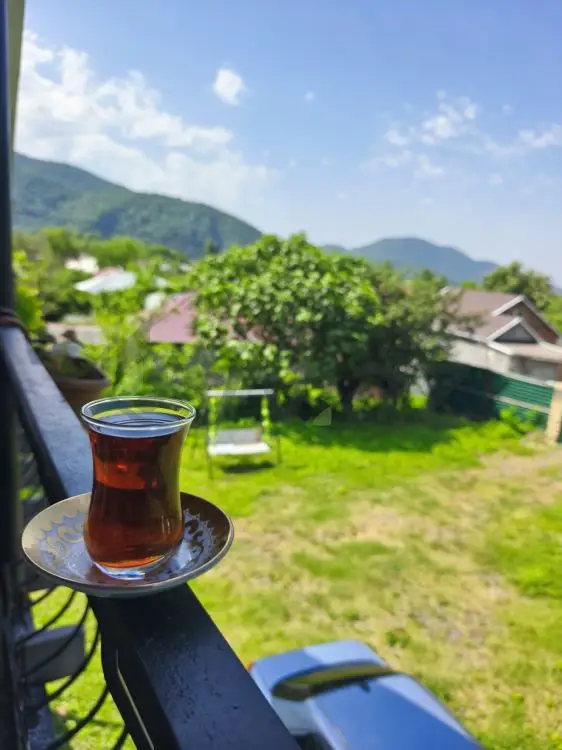 4 otaqlı Həyət evi Kirayə (günlük), Qax — Ev, villa, Qax (5)