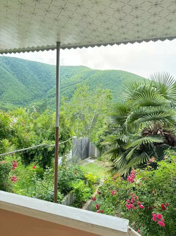 4 otaqlı Həyət evi Satılır, Şəki — Ev, villa, Şəki (11)