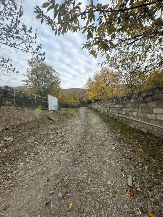 10 sot Torpaq Satılır, Zaqatala — Torpaq, Zaqatala (6)