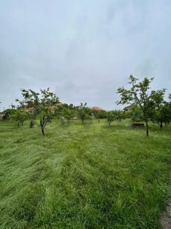 5 sot Torpaq Satılır, Qusar — Torpaq, Qusar (7)