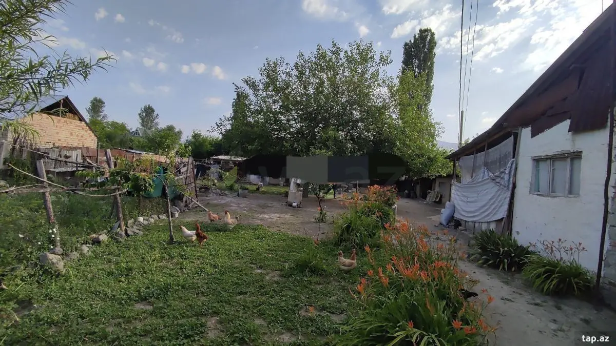 2 otaqlı Həyət evi Satılır, Şəki — Ev, villa, Şəki (6)