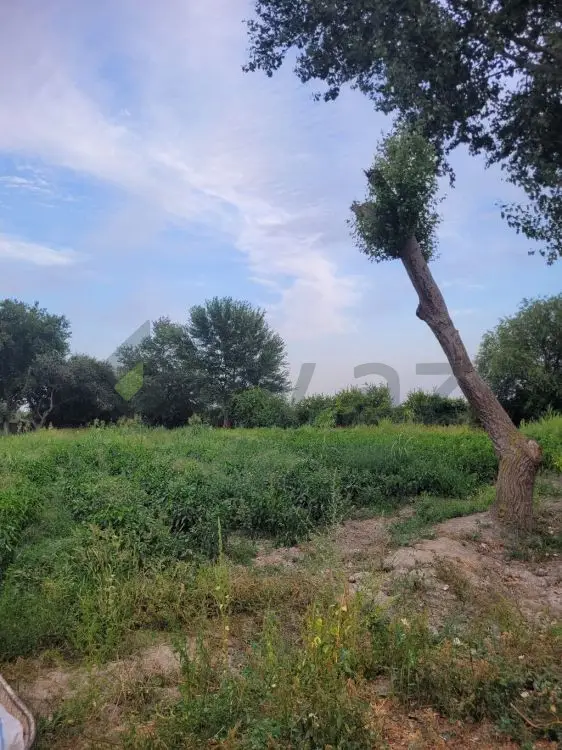 35 sot Torpaq Satılır, Şirvan — Torpaq, Şirvan (4)