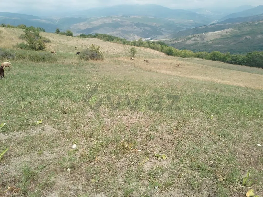 232 sot Torpaq Satılır, Şamaxı — Torpaq, Şamaxı (3)