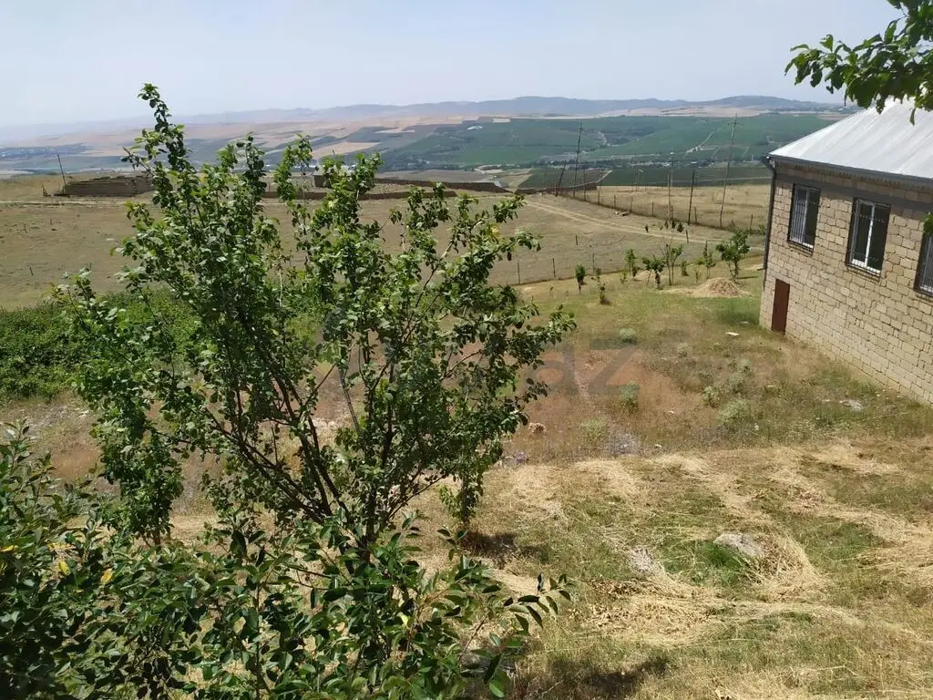 10 sot Torpaq Satılır, Şamaxı — Torpaq, Şamaxı (2)