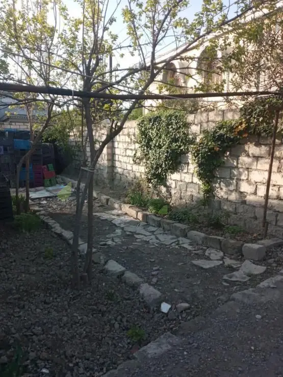 3 otaqlı Həyət evi Satılır, Mingəçevir — Ev, villa, Mingəçevir (3)