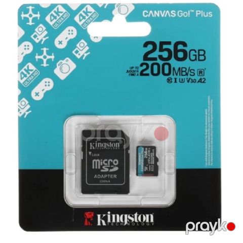 Kingston Canvas Go Plus Gen4 SDCG4/256GB 256GB microSDXC Yaddaş Kartı — Bakı