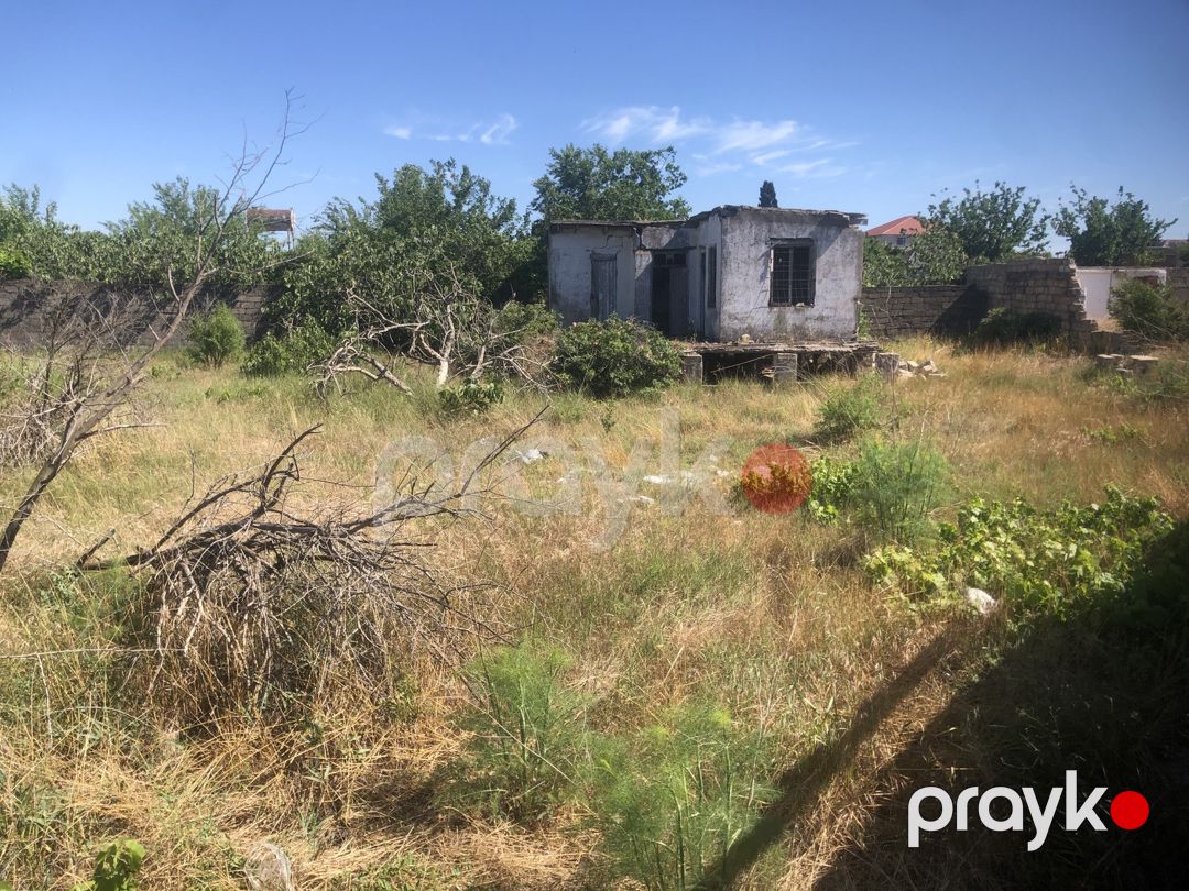 Satılır torpaq 12 sot — Torpaq, Bakı (4)