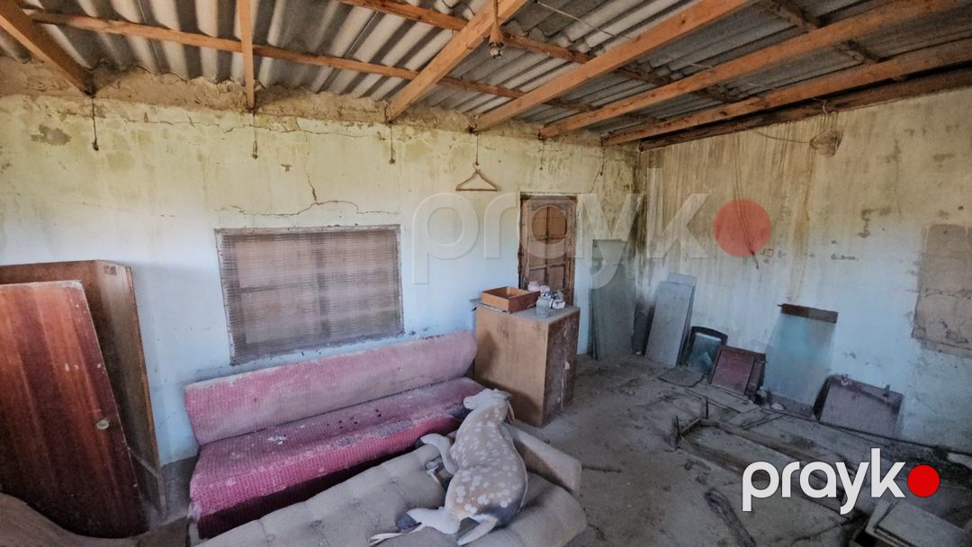 Satılır torpaq 9 sot — Torpaq, Bakı (8)