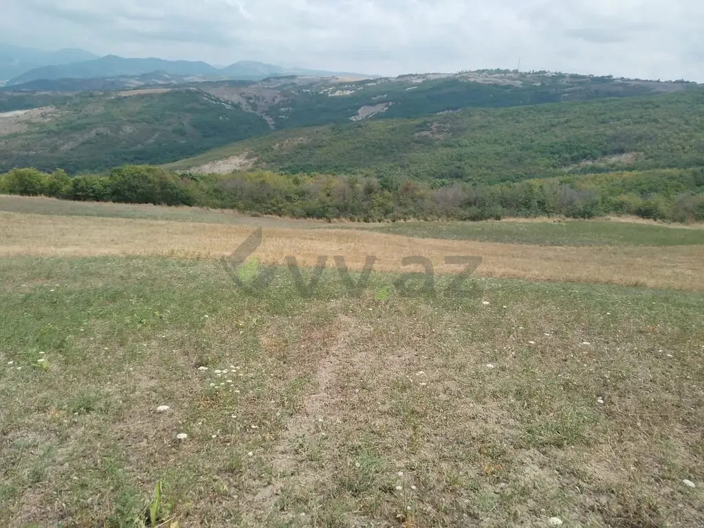 232 sot Torpaq Satılır, Şamaxı — Torpaq, Şamaxı (6)
