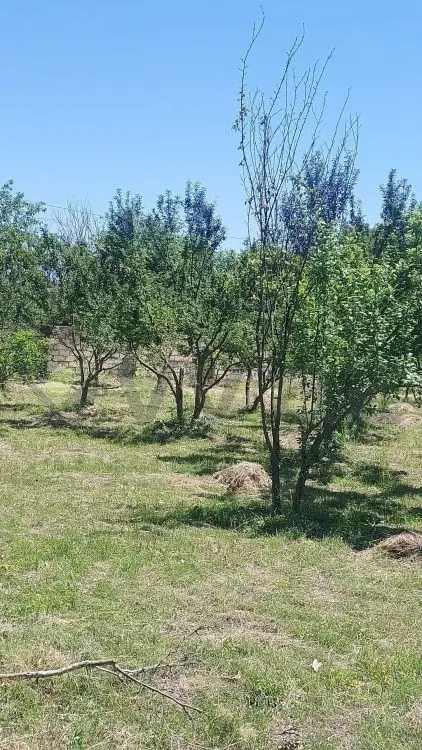 19 sot Torpaq Satılır, Göyçay — Torpaq, Göyçay (8)