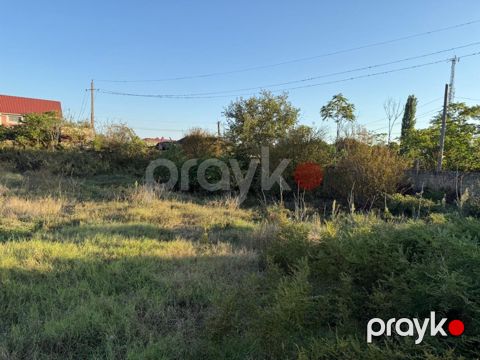 Satılır torpaq 10 sot — Xaçmaz