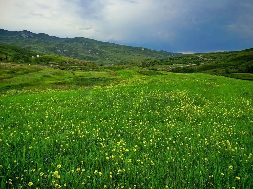 151 sot Torpaq Satılır, Şamaxı — Şamaxı
