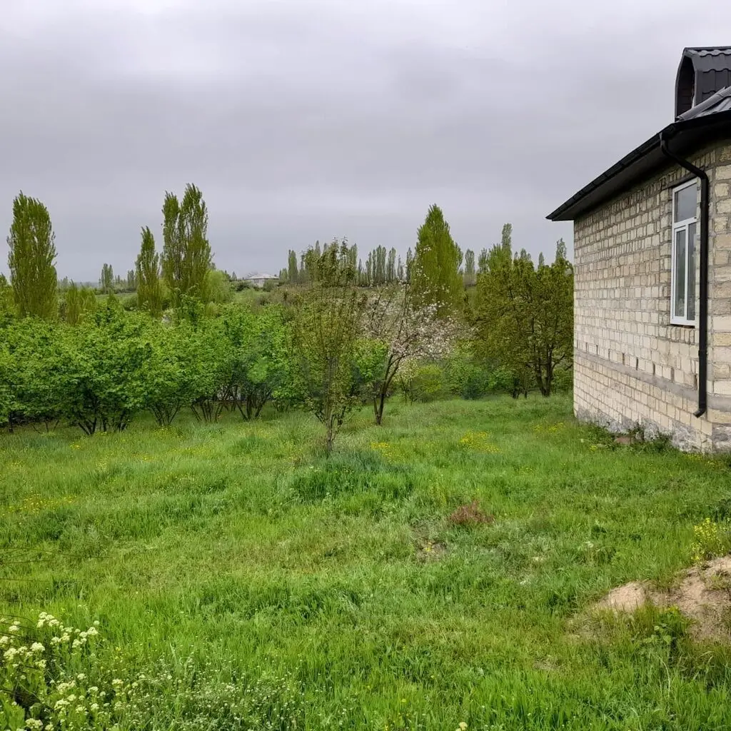 12 sot Torpaq Satılır, Qusar — Torpaq, Qusar (4)