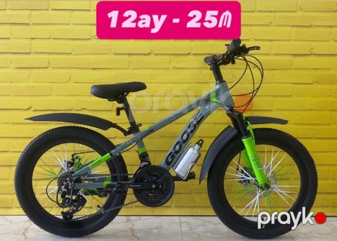 Velosiped 20 Goose — Bakı