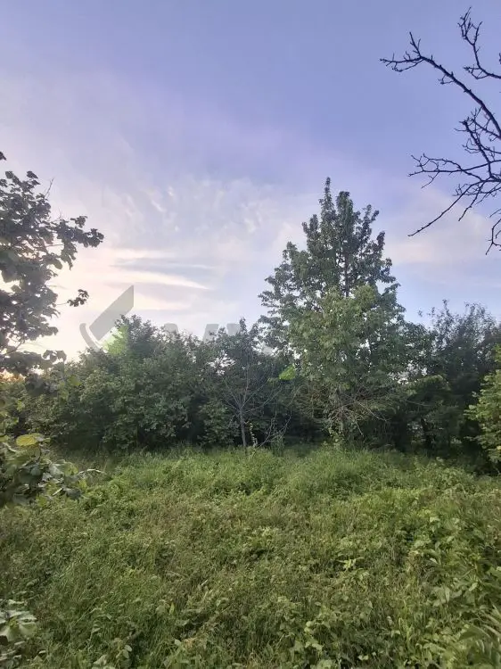 26 sot Torpaq Satılır, Xaçmaz — Torpaq, Xaçmaz (4)