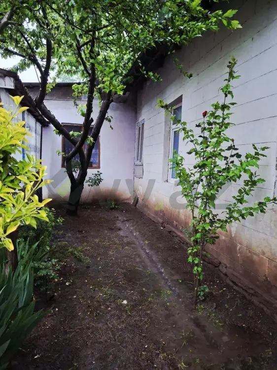 4 otaqlı Həyət evi Satılır, Şamaxı — Ev, villa, Şamaxı (3)