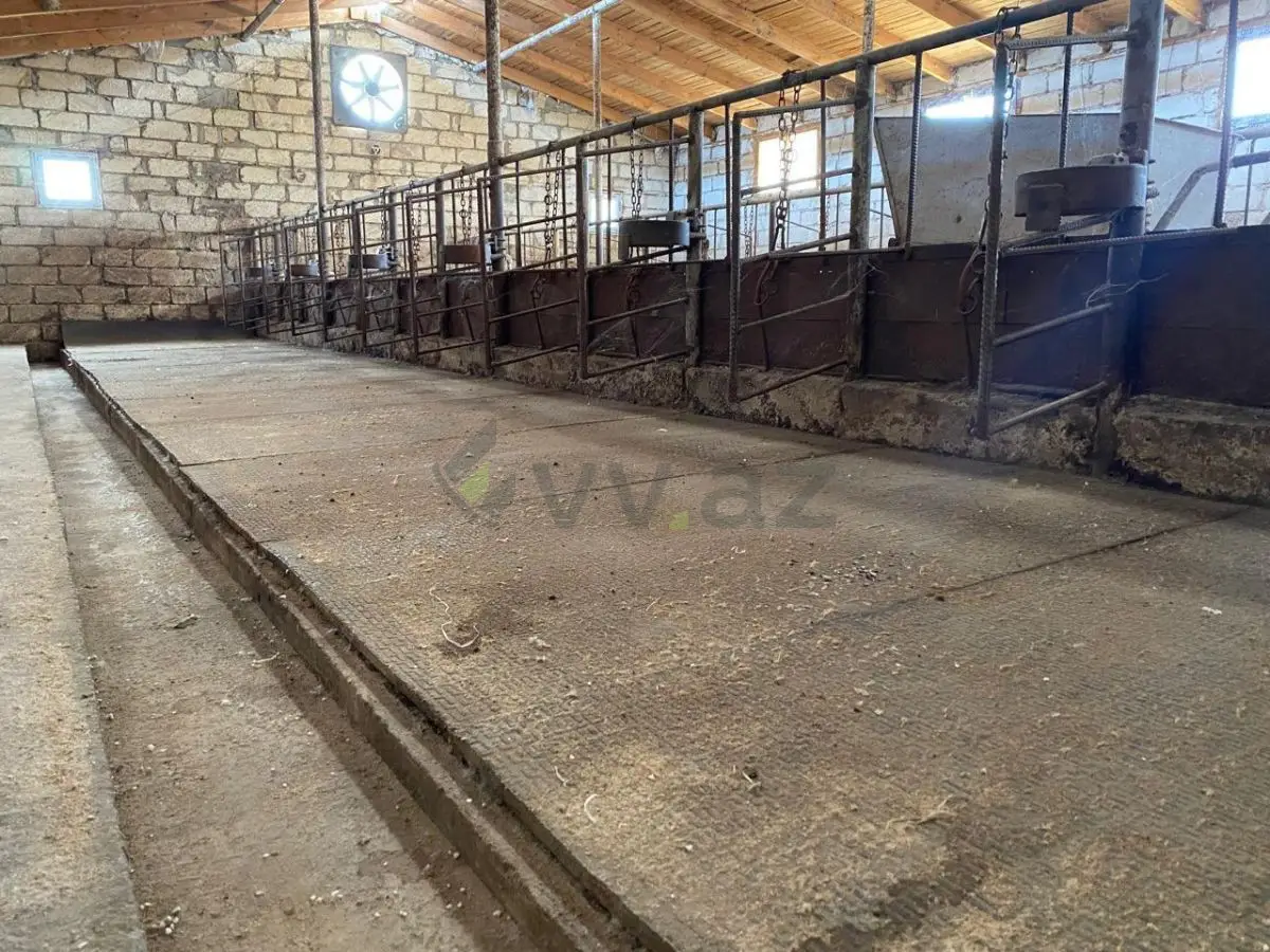 110000 m² Obyekt / Ofis Satılır, Saatlı — Əmlak, Saatlı (3)