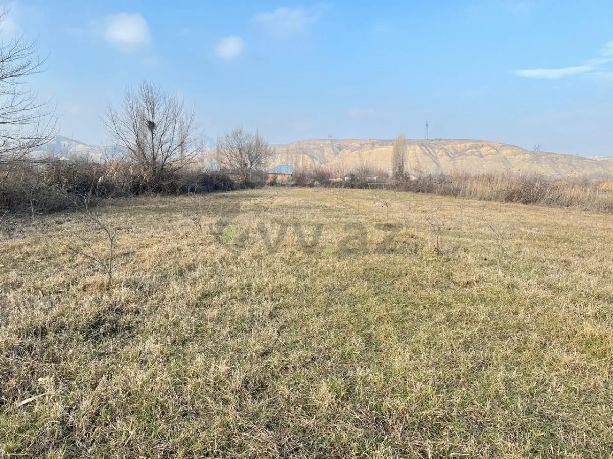 75 sot Torpaq Satılır, Göyçay — Torpaq, Göyçay (6)