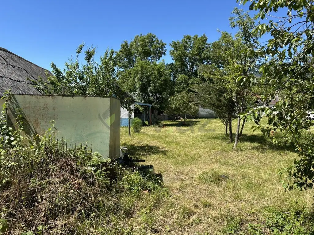 15 sot Torpaq Satılır, Qəbələ — Torpaq, Qəbələ (7)